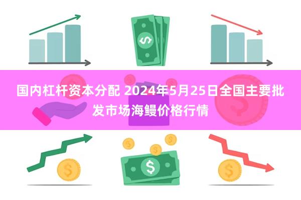 国内杠杆资本分配 2024年5月25日全国主要批发市场海鳗价格行情