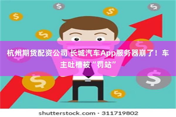 杭州期货配资公司 长城汽车App服务器崩了！车主吐槽被“罚站”