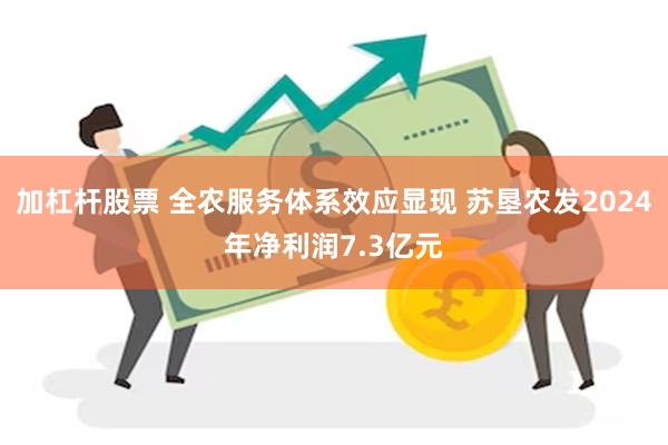 加杠杆股票 全农服务体系效应显现 苏垦农发2024年净利润7.3亿元