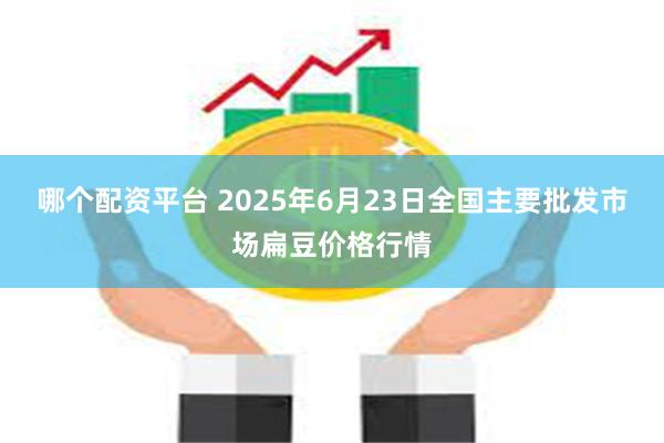 哪个配资平台 2025年6月23日全国主要批发市场扁豆价格行情